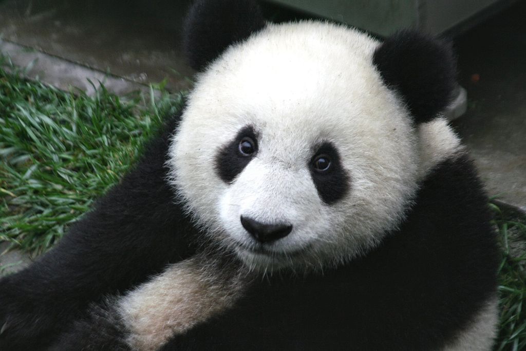 Sichuan