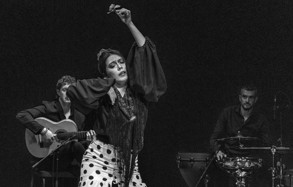 flamenco pancouver