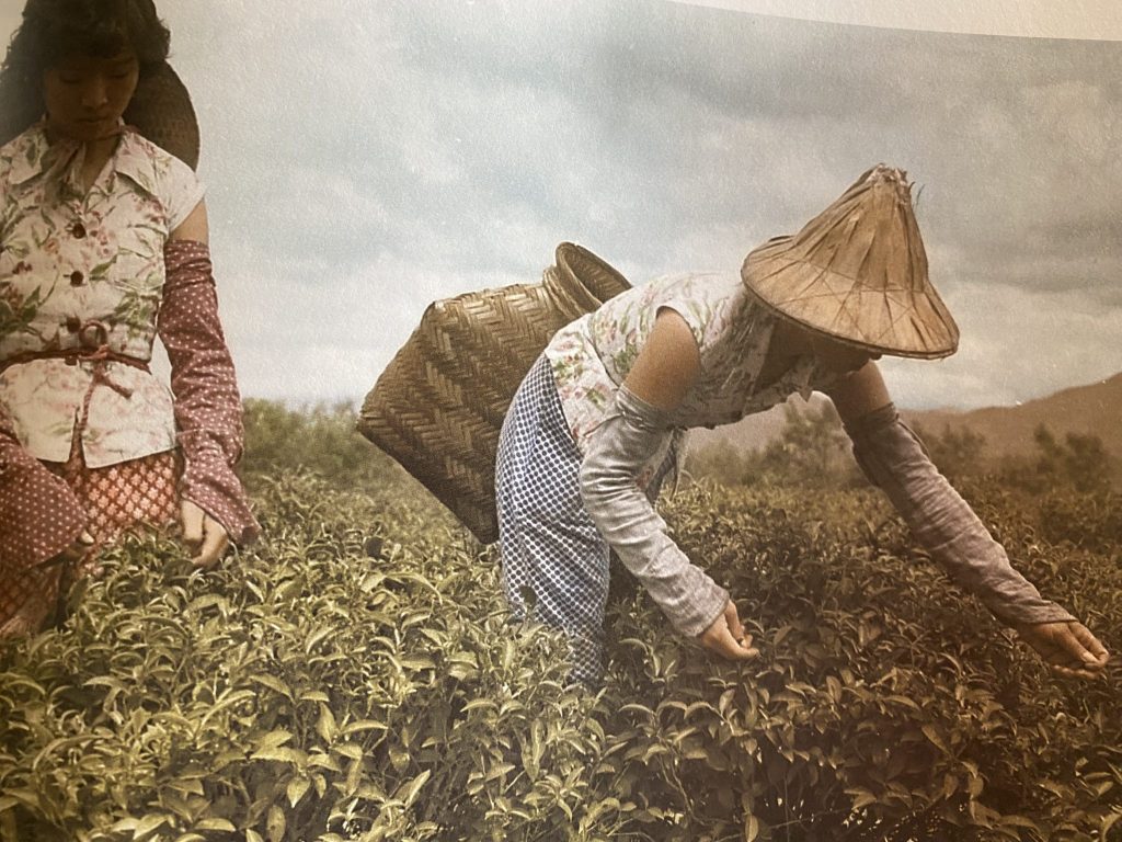 Hakka women