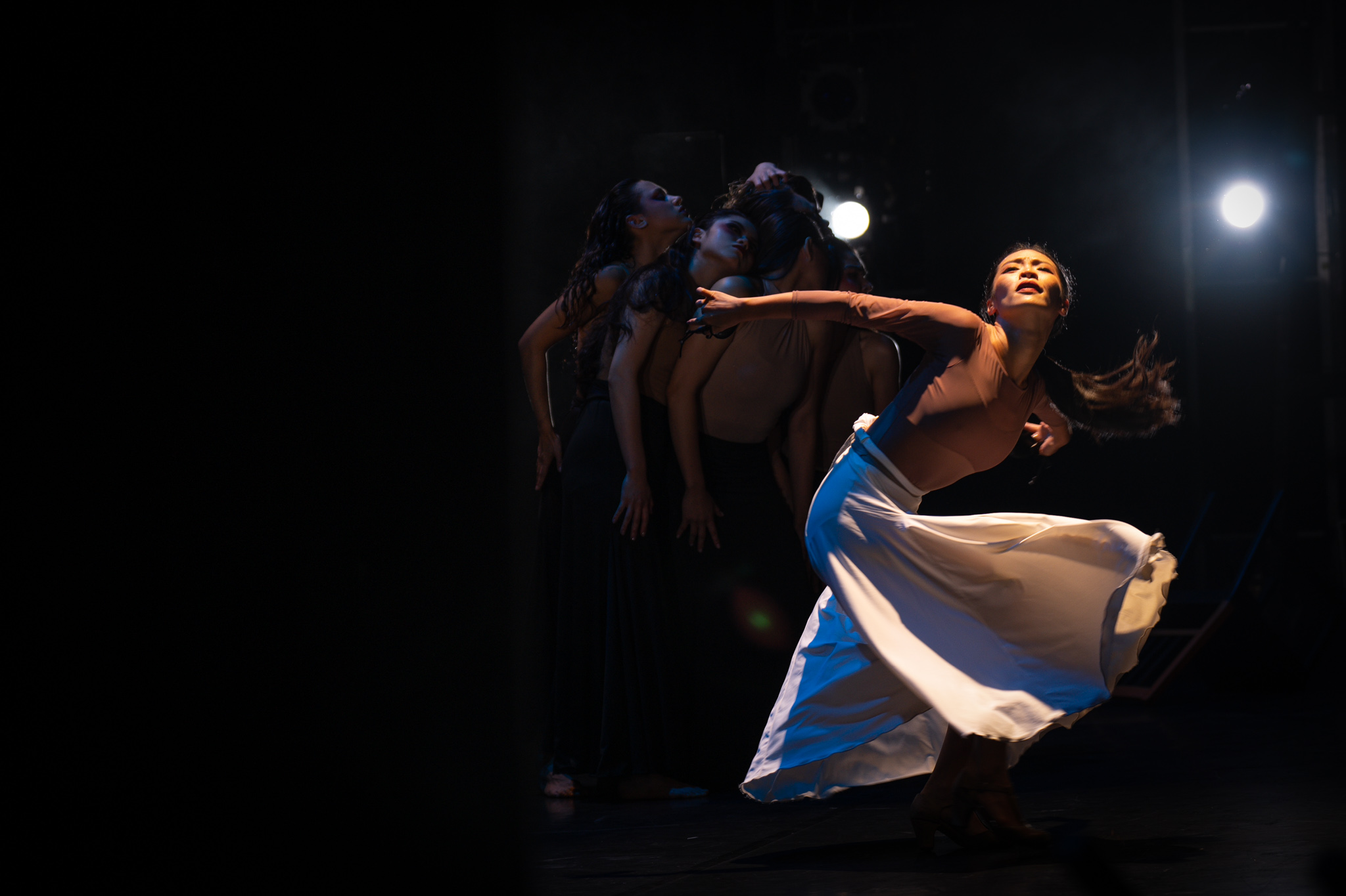 flamenco