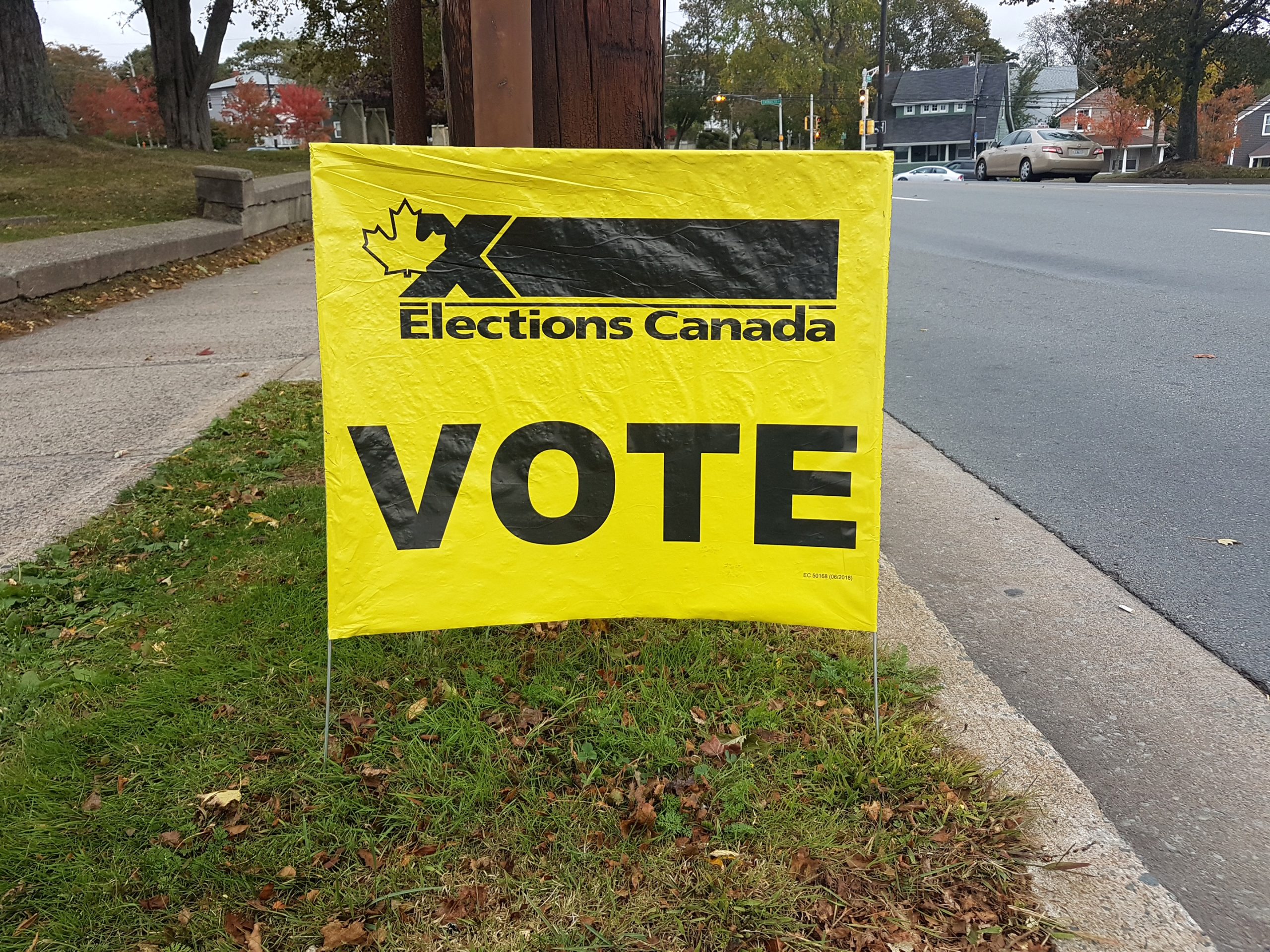 vote