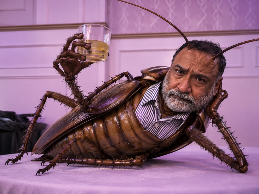 cockroach